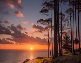 JJ比赛2016春天送礼活动 天天赢大奖