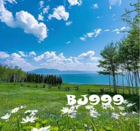 蹦蹦网活跃大比拼 签到拿豪礼