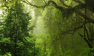 推荐百度钱包新用户可获得返奖