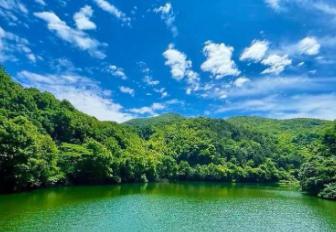 Auto Insight参与汽车调查将获得奖励积分